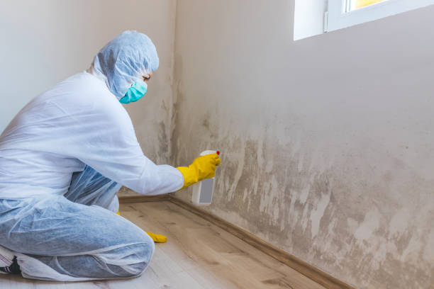 Mold Remediation specialist working in Douglas
